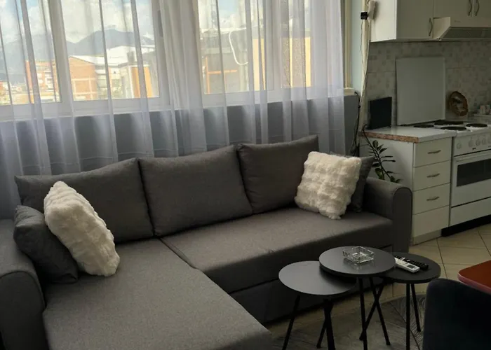 Mirela\'S Apartment City Center